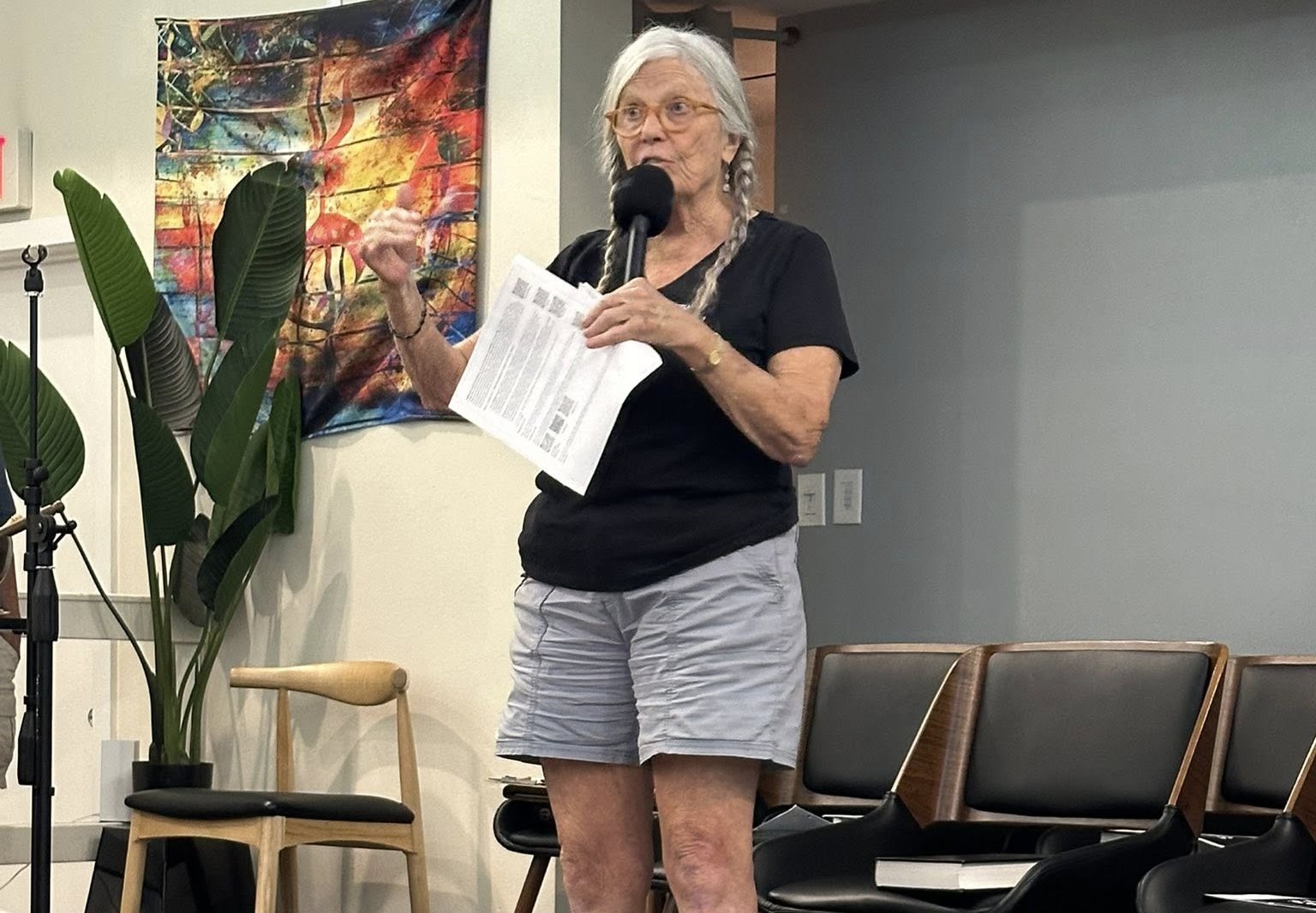 Grassroots community members at civic meeting in Palm Harbor, Florida, Indivisible North Pinellas