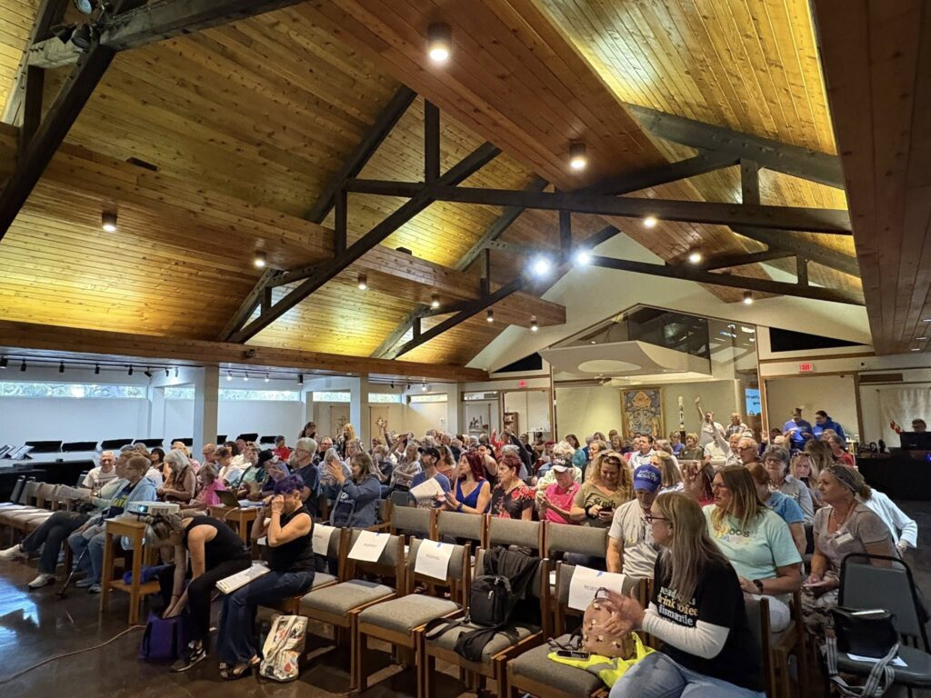 Grassroots community members at civic meeting in Palm Harbor, Florida, Indivisible North Pinellas