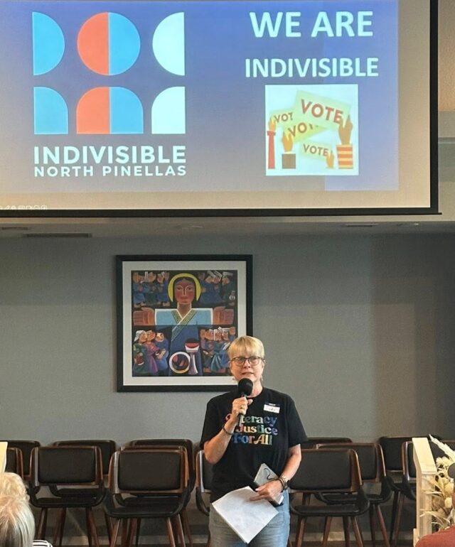 Grassroots activist meeting in Tarpon Springs, Florida, North Pinellas grassroots organizing