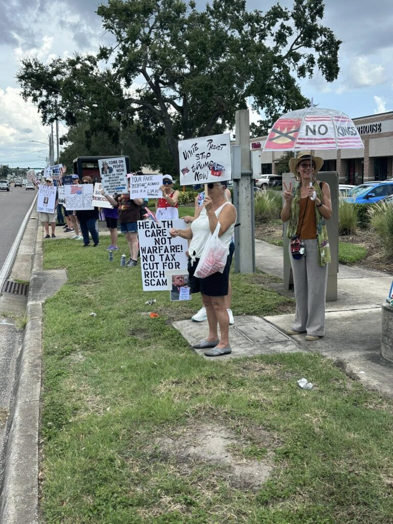 North Pinellas civic action, Activism civic engagement in Pinellas County, Florida