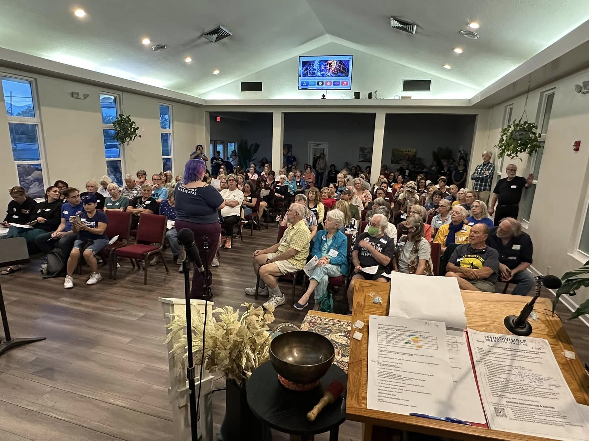 Progressive town hall meeting in Palm Harbor, Florida, North Pinellas grassroots organizing