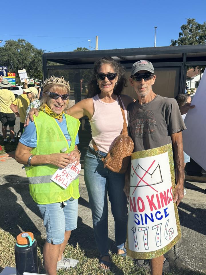 North Pinellas volunteer event, Grassroots civic engagement in Palm Harbor, Florida