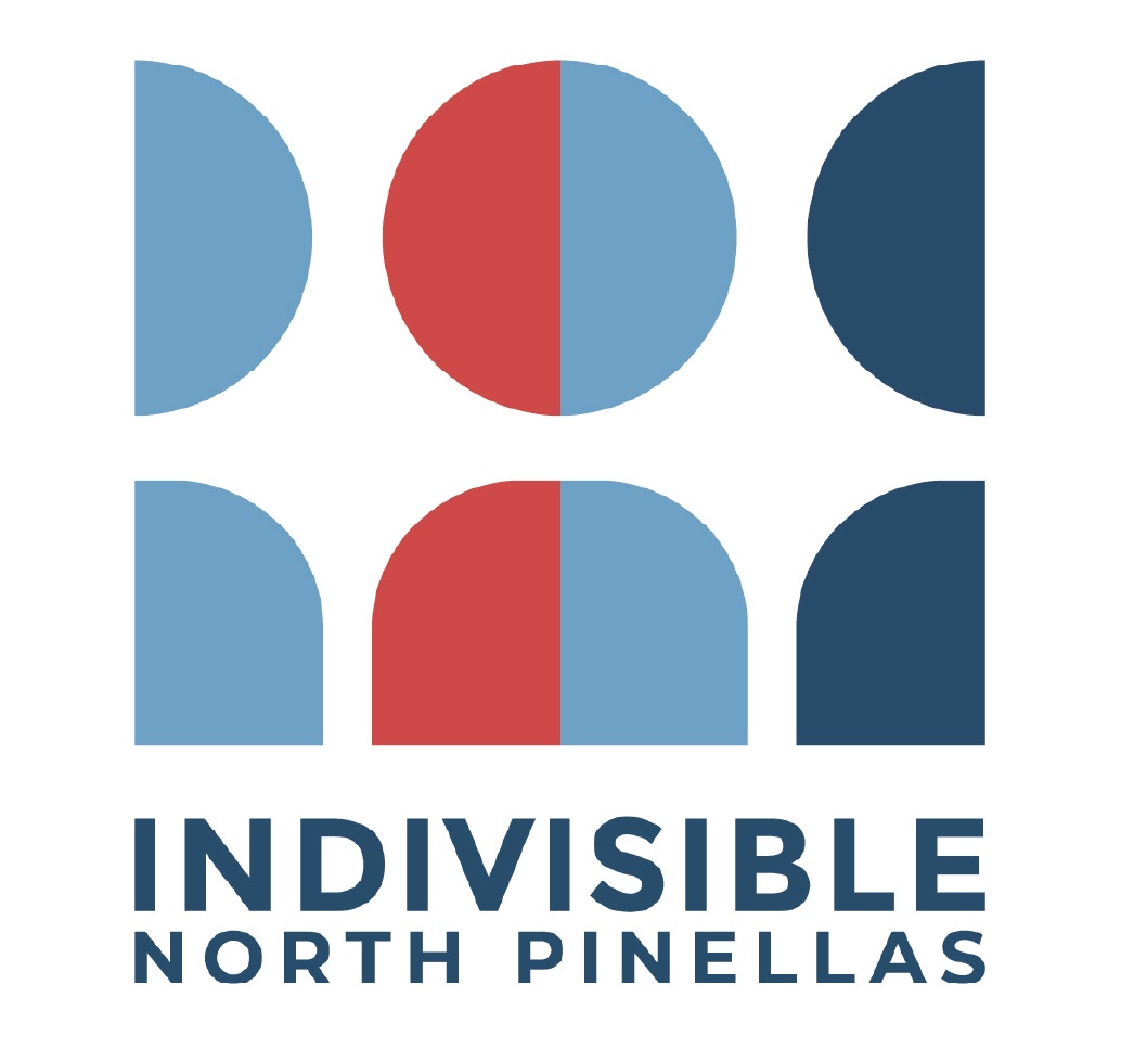 small Indivisible North Pinellas graphic