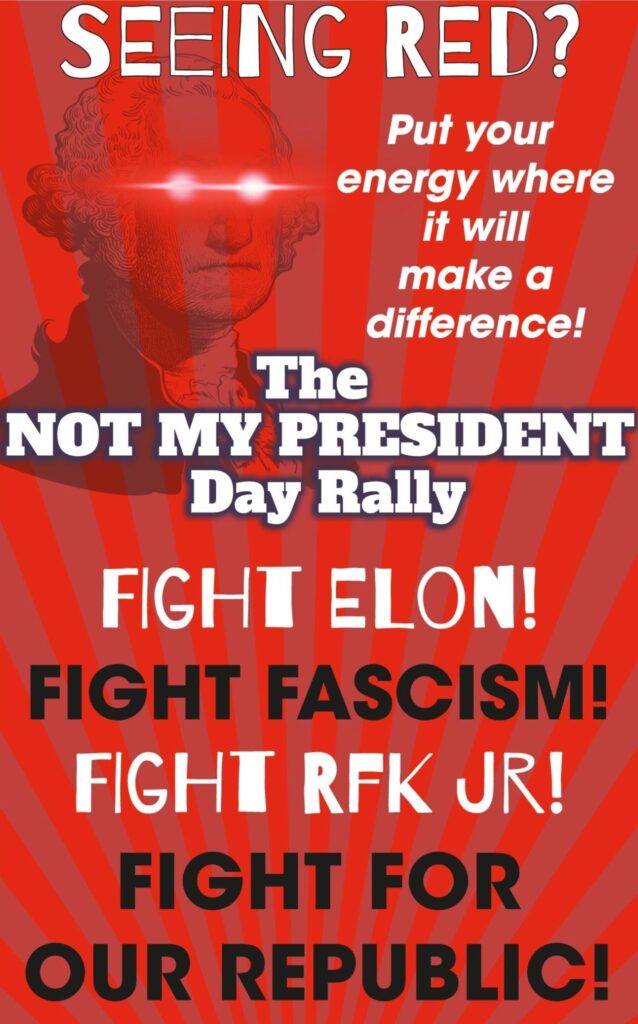 Not My President Day Rally