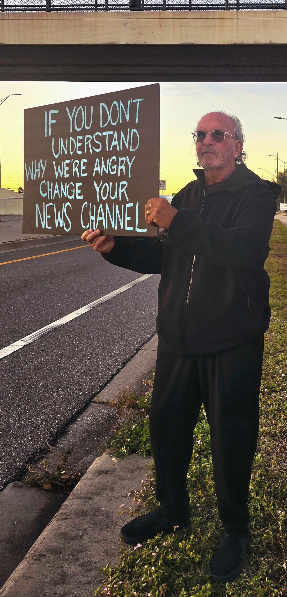 Progressive community rally in Palm Harbor, Florida, Indivisible North Pinellas