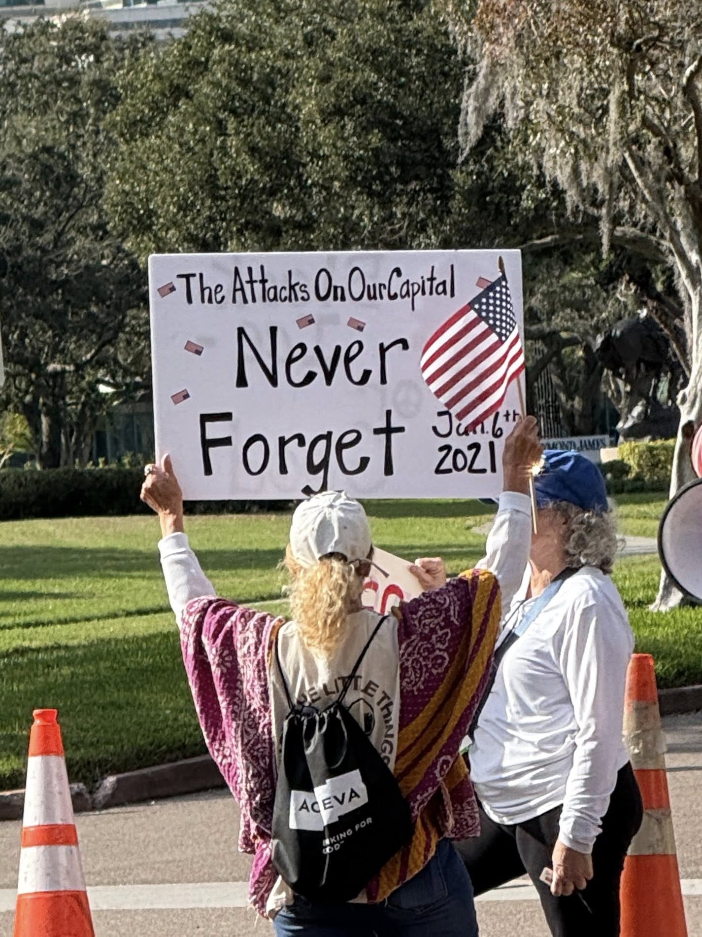 Resistance rally in Clearwater, Florida, Indivisible North Pinellas