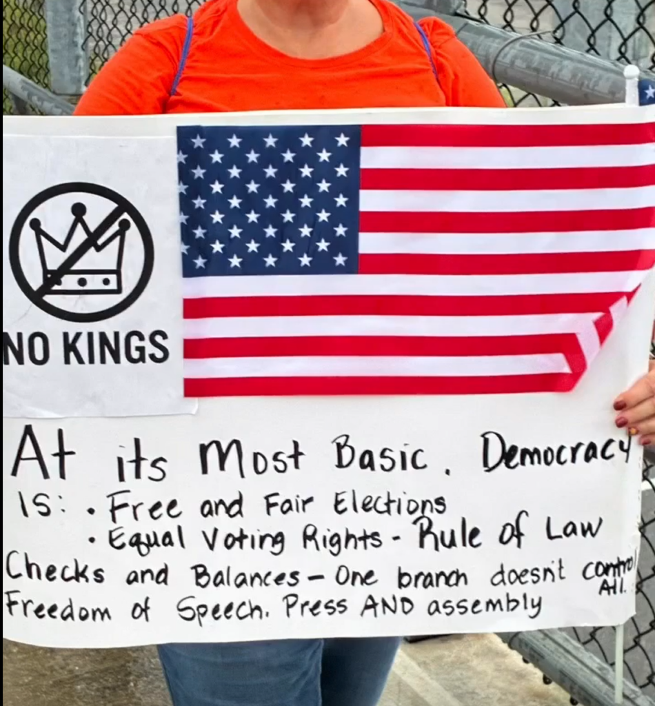 Sign Democracy is free and fair elections, equal voting rights, rule of law